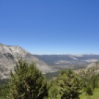 Sierra Nevada Greenery